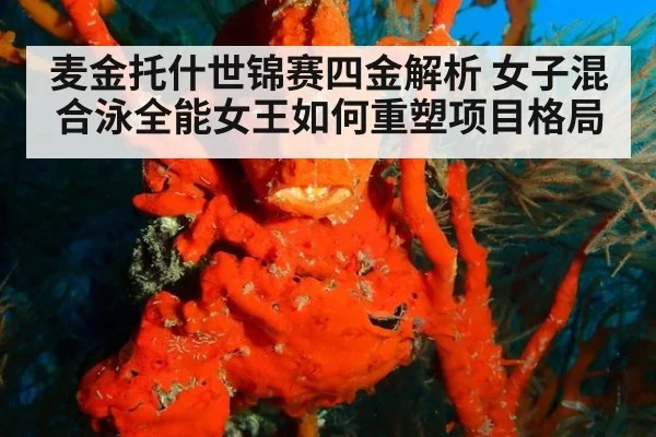 麦金托什世锦赛四金解析 女子混合泳全能女王如何重塑项目格局